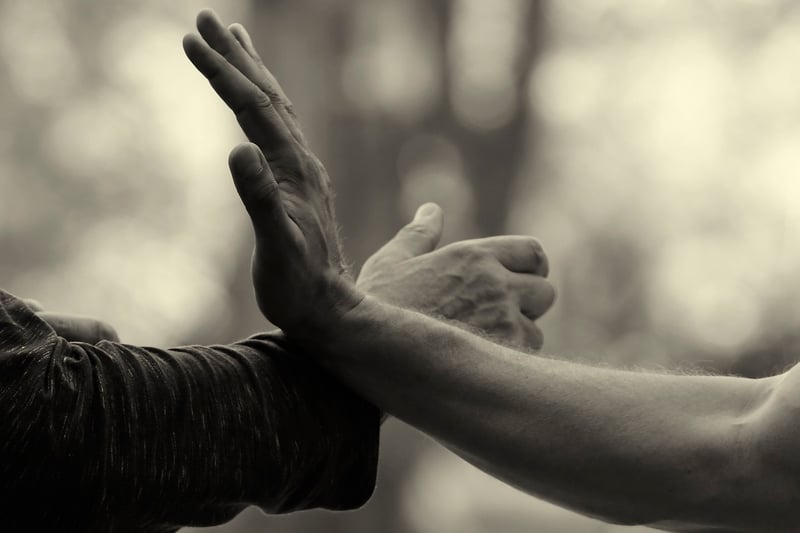 Tai Chi Sword Practices